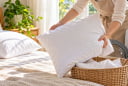 Bao lâu nên giặt gối một lần? 4 mốc thời gian nên nhớ để tránh tích tụ mồ hôi, bụi bẩn