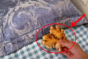 Tại sao bạn nên để một củ gừng dưới gối?