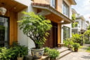 Mệnh nào kỵ cây Đinh Lăng nhất?
