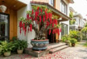 Mệnh nào trồng lộc vừng tốt nhất?