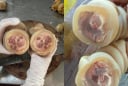 Vó bò là bộ phận nào của con bó?