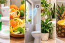 5 mẹo khử mùi hôi nhà vệ sinh nhanh, nguyên liệu quen thuộc nhưng hiệu quả bất ngờ