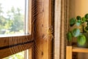 Cách đuổi nhện ra khỏi nhà vĩnh viễn: Chỉ cần 3 nguyên liệu quen thuộc