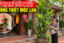 3 Vị trí tốt nhất trồng cây Thiết Mộc Lan cho gia chủ