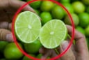Tại sao nhiều người thích cắt đôi quả chanh rồi 'bôi khắp nhà'?