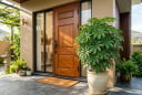 3 vị trí tốt nhất trồng cây Ngũ Gia Bì theo phong thủy