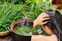 Vì sao nhiều người mách nhau gội đầu bằng nước cỏ mần trầu?