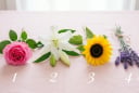 Chọn một trong 4 bông hoa bạn thích nhất: Khám phá điều bạn đang cần nhất trong cuộc sống