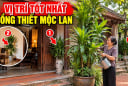 2 vị trí đặt cây Thiết Mộc Lan xoá tan nghèo khổ