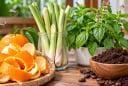 Cách đuổi muỗi bằng nguyên liệu tự nhiên sẵn có, đơn giản mà hiệu quả