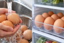 Vì sao không nên rửa trứng trước khi cất? Nếu trứng bẩn hãy làm cách khác