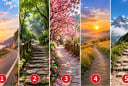 Chọn một con đường bạn muốn đi: Phía trước là thử thách hay cơ hội?