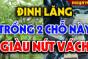 Cây đinh lăng trấn giữ của cải đừng trồng linh tinh: 2  vị trí hút tài lộc vào nhà