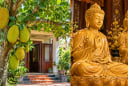 Vì sao người xưa kiêng trồng cây mít trước nhà nhưng lại rất thích gỗ mít làm tượng thờ?