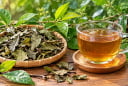 Những người nên cẩn thận khi uống nước xạ đen, không phải ai cũng phù hợp