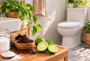 Mẹo khử mùi hôi nhà vệ sinh cực dễ, không cần sáp hay hóa chất tạo thơm