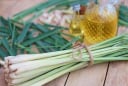 Vì sao nên đặt bó sả vào nhà vệ sinh