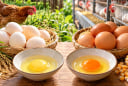Lòng đỏ trứng gà vàng nhạt hay vàng đậm 'xịn' hơn?