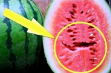 Mê ăn dưa hấu đến mấy mà thấy dấu hiệu này cũng phải vứt bỏ ngay lập tức kẻo rước bệnh vào người