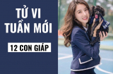 Tử vi tuần mới của 12 con giáp (từ 16/12- 22/12/2019): Dần có Thực Thần nâng đỡ, Hợi điềm báo tiểu nhân hãm hại