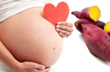 Những thực phẩm vào con chứ không vào mẹ, càng ăn nhiều thai nhi càng khoẻ mạnh