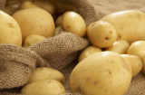 Những lợi ích tuyệt vời của củ khoai tây, rất nhiều người bỏ phí mà không biết