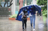 Thời tiết ngày 15/9: Cảnh báo nguy cơ lũ quét và sạt lở đất ở các tỉnh Bắc Bộ