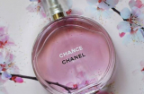 Tìm thấy lọ nước hoa Chanel bị mất của khách trong ba lô nhân viên hàng không ở Nội Bài