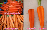 Người trồng cà rốt 10 năm mách nhỏ: Mua cà rốt cứ chọn củ sẫm màu sẽ được ngon ngọt như ý