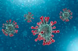 Đã phát hiện ra điểm yếu của virus SARS-CoV-2