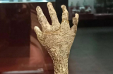 Bí mật của 'bàn tay kì quái' trong ngôi mộ cổ 3000 năm tuổi ở Trung Quốc