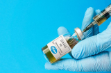 Việt Nam tiếp nhận lô vắc-xin Pfizer đầu tiên: Đối tượng nào nên và không nên tiêm?