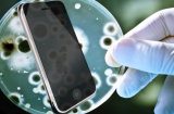 Điện thoại mang nhiều vi khuẩn gấp 10 lần bồn cầu: Vệ sinh theo cách này để điện thoại sạch, không hại sức khỏe
