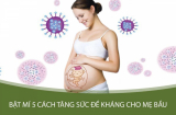 5 mẹo tăng đề kháng cho mẹ bầu và thai nhi trong mùa dịch