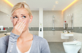 Mẹo khử mùi hôi nhà vệ sinh đơn giản đảm bảo hiệu quả, nhanh chóng