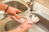 Mẹo bảo quản cá tươi trong tủ lạnh: Vừa không sợ mùi tanh vừa đảm bảo thịt cá ngon như mới