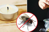 Làm 'bẫy ruồi' tự nhiên không cần đến hóa chất độc hại chỉ với nguyên liệu quen thuộc trong bếp