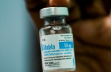 Viêt Nam mua 10 triệu liều vắc xin phòng Covid-19 của Cuba: Hiệu lực của loại vắc xin này như thế nào?