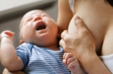 Bí kíp giúp mẹ cai sữa cho bé hiệu quả nhất, không sợ con giảm cân hay ốm sốt