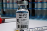 WHO phê duyệt vắc xin chống sốt rét đầu tiên và duy nhất trên thế giới