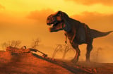 Loài khủng long từng tồn tại trên Trái Đất cách đây hơn 65 triệu năm: Điều gì đã khiến chúng tuyệt chủng?