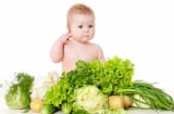 Nên cho trẻ nhỏ ăn dặm rau gì là tốt nhất?