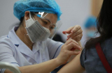 Hơn 80% dân số từ 18 tuổi trở lên tiêm đủ 2 mũi vắc xin Covid-19, Việt Nam đạt miễn dịch cộng đồng