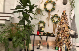 2 cách làm cây thông Noel từ nguyên liệu dễ kiếm vừa độc đáo lại tiết kiệm