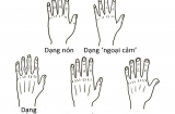 Nhìn dáng bàn tay đoán năng khiếu, tính cách: Bạn là người hướng nội hay hướng ngoại?