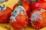 Cà chua thối hỏng nào ngờ cũng rất hữu ích, nếu từng vứt bỏ bạn sẽ tiếc hùi hụi