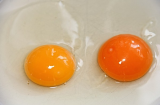 Lòng đỏ trứng gà có màu vàng nhạt hay vàng đậm thì mới bổ dưỡng?