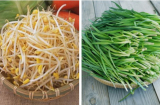3 loại rau “trường thọ - đại bổ” có nhiều ở Việt Nam: Số 1 ai cũng có thể trồng