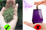 4 loại lá rẻ bèo càng dùng càn thơm ngát: Chị em không cần dùng nước hoa vẫn diệt mùi hôi dễ dàng