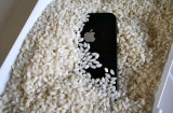 Vùi điện thoại vào thùng gạo, tưởng chẳng để làm gì mà tiết kiệm được tiền triệu